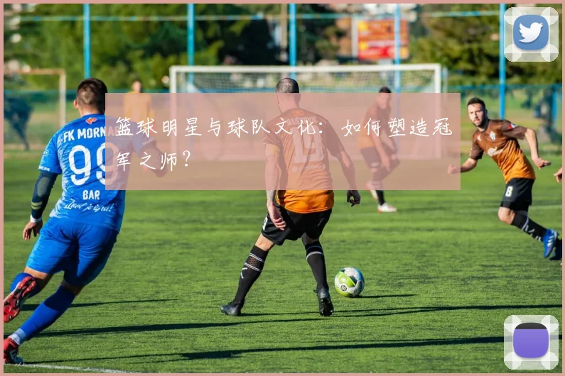 篮球明星与球队文化：如何塑造冠军之师？