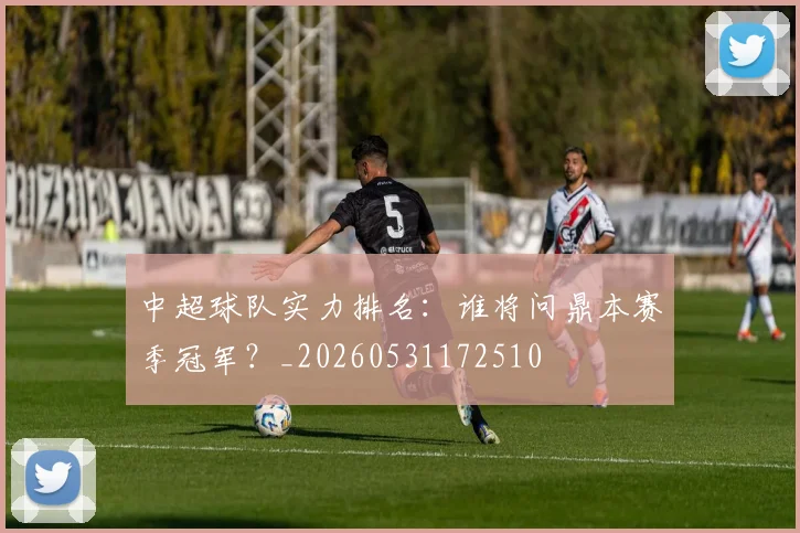 中超球队实力排名:谁将问鼎本赛季冠军?_20260531172510